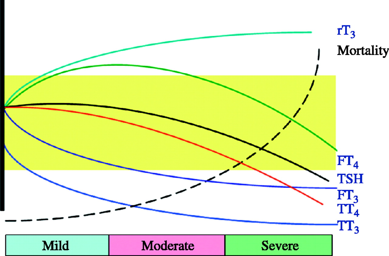 Figure 1: This figure shows the concentration changes in serum thyroid-related hormones under different severity of disease, where the green area represents the serum thyroid reference range. 