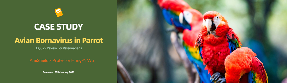 Banner of Case Study : Avian Bornavirus in Parrots
