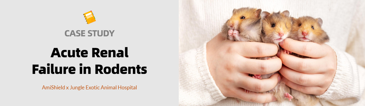 Case Study Banner: Acute Renal Failure in Rodents
