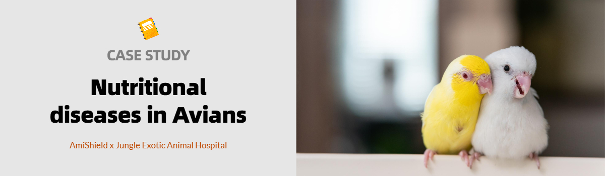 Case Study Banner: Nutritional diseases in Avians