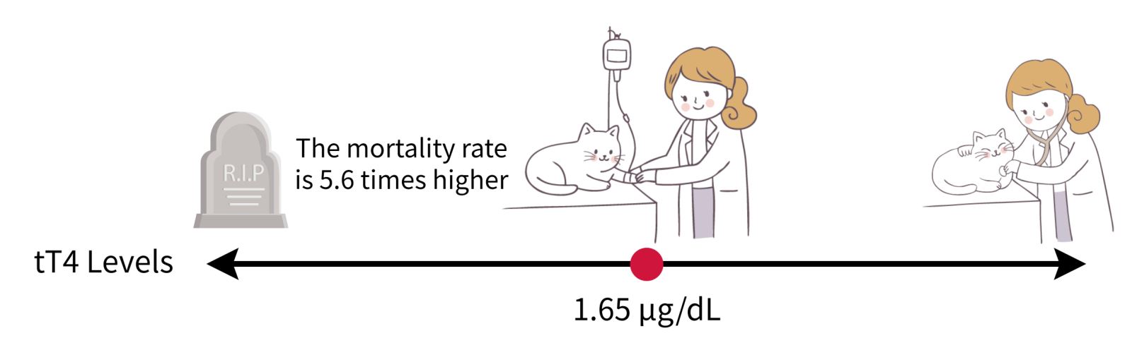 Figure 3: Acutely Severe Hospitalized Cats with tT4 level less than 1.65 μg/dL have a Higher mortality risk ratio