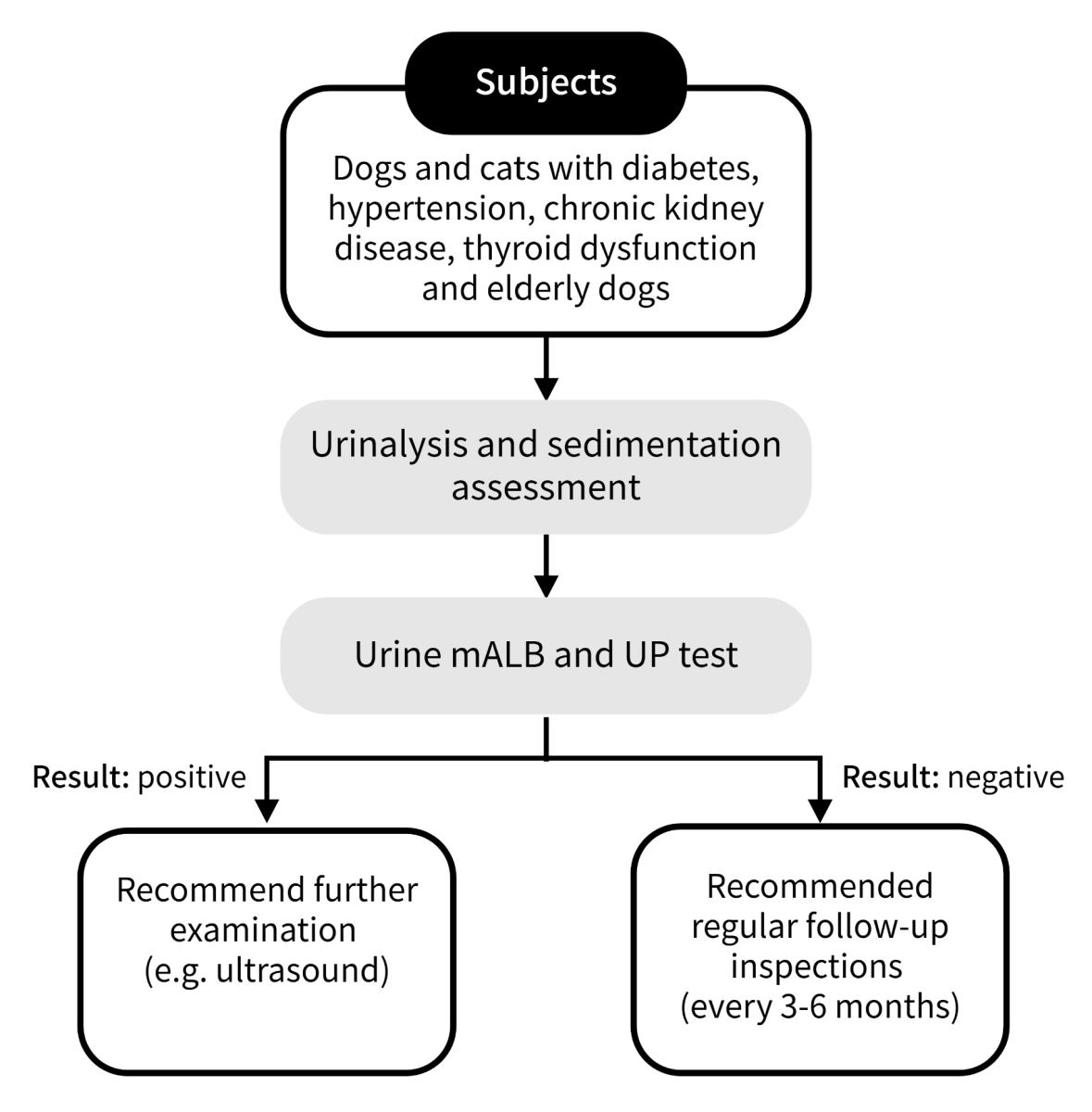 Figure 4: Timing to detect urine microalbumin and urine protein