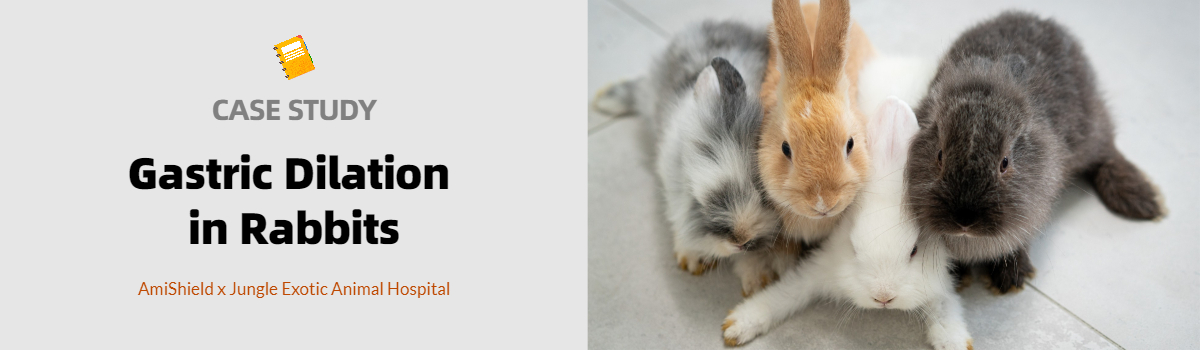 Case Study Banner: Gastric Dilation in Rabbits