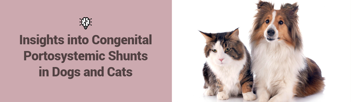 Insights into Congenital Portosystemic Shunts in Dogs and Cats Banner