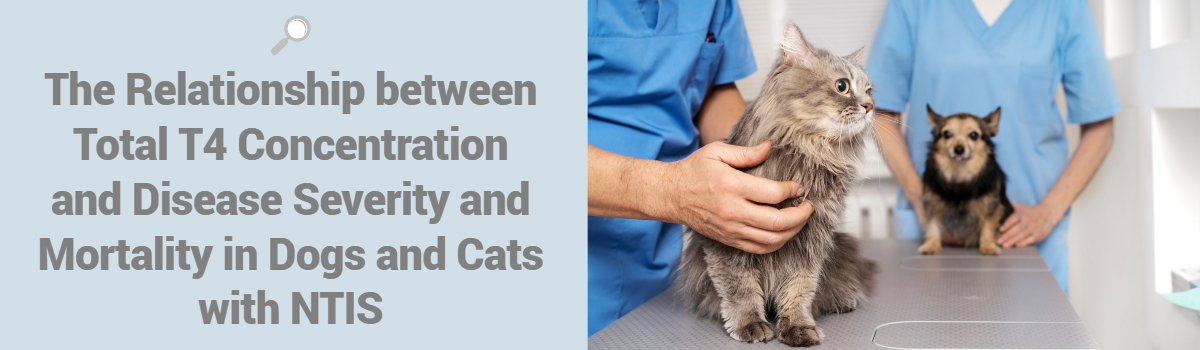 The Relationship between Total T4 Concentration and Disease Severity and Mortality in Dogs and Cats with NTIS Banner