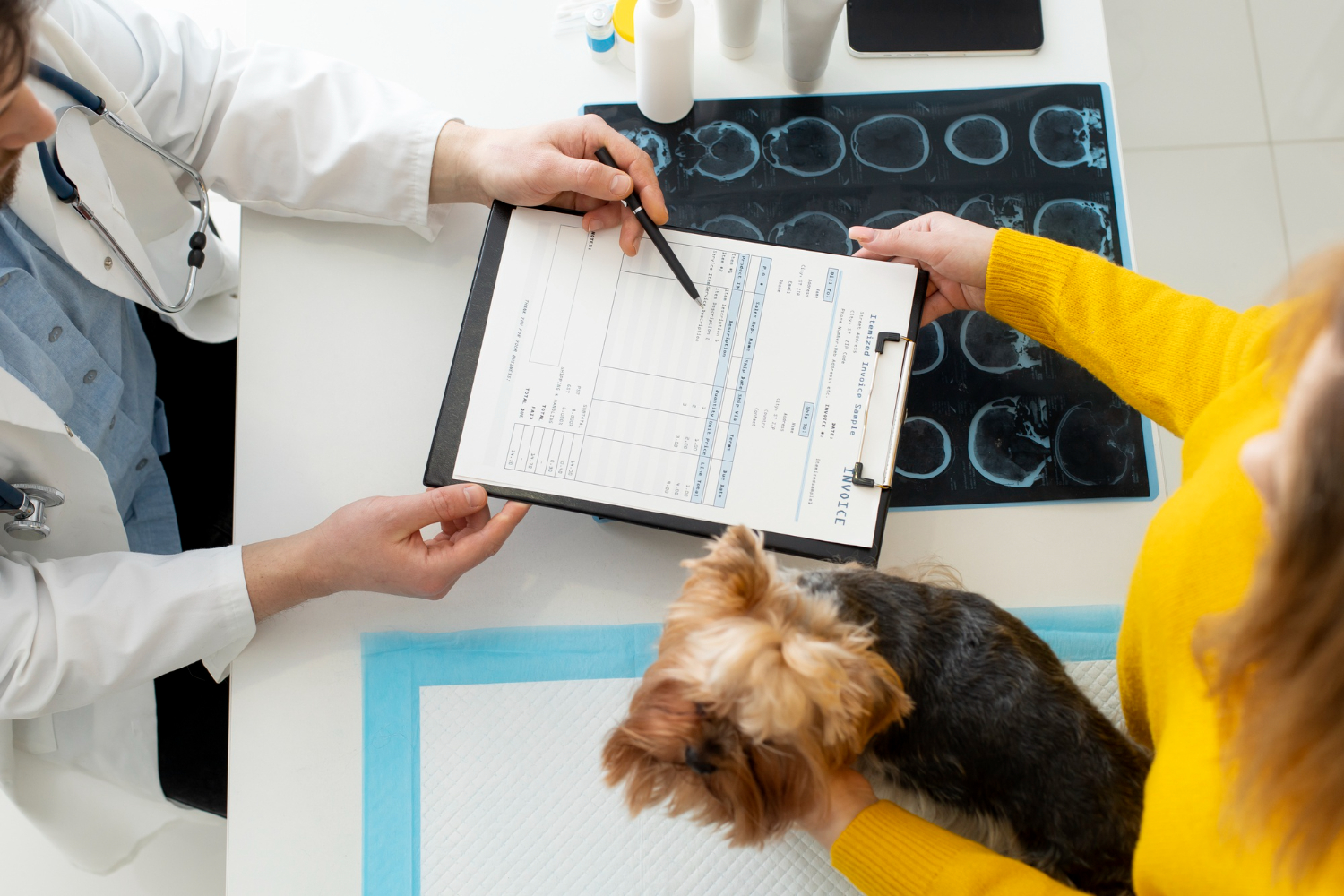 Vet is checking a dog with its owner